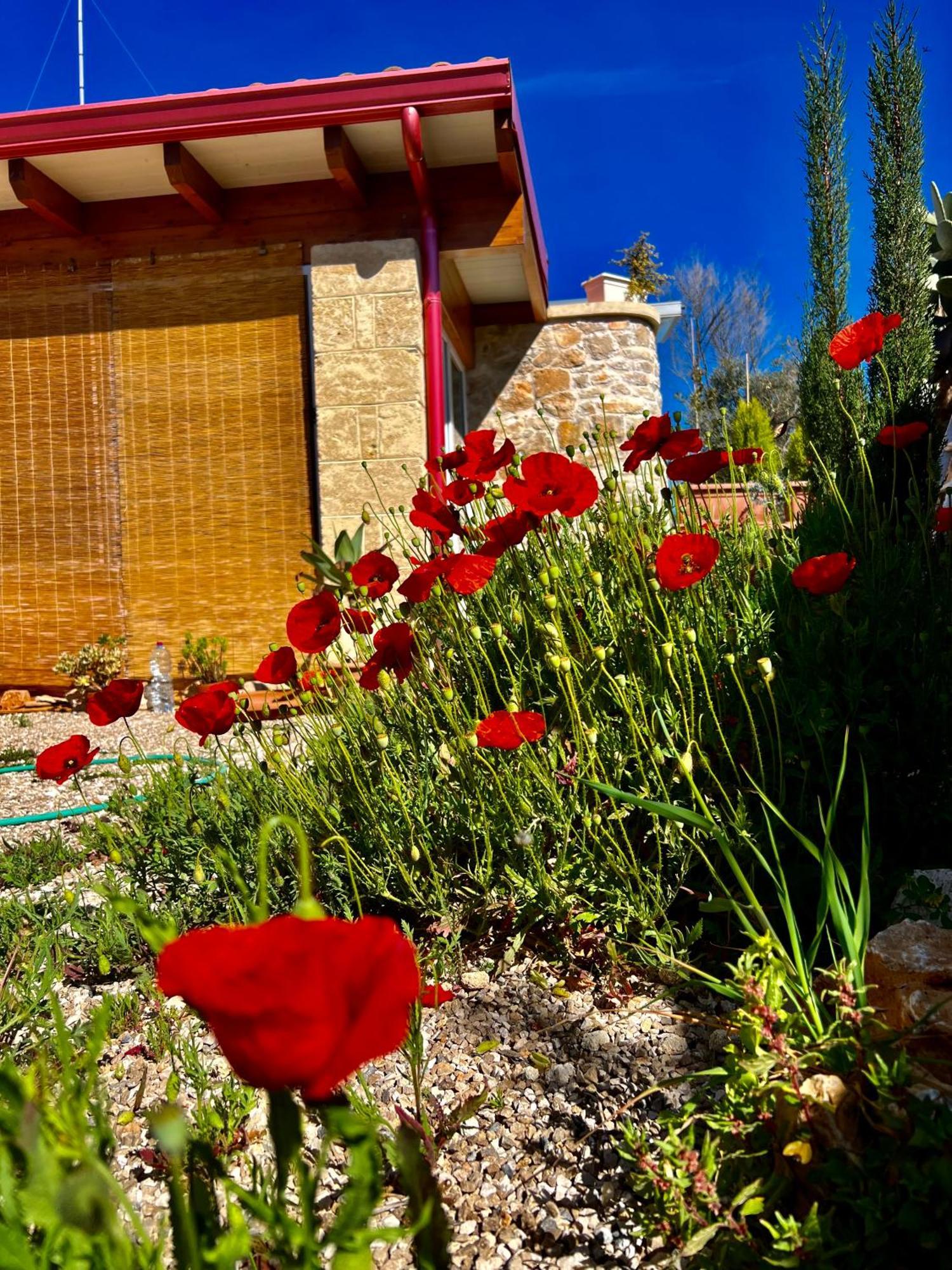 Trulli Delle Succulente Villa Capilungo Exterior photo