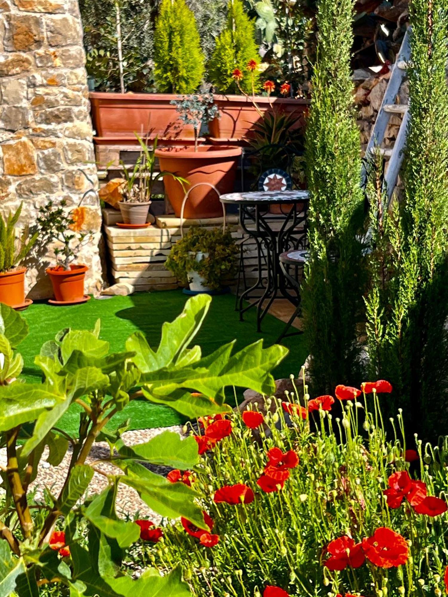 Trulli Delle Succulente Villa Capilungo Exterior photo